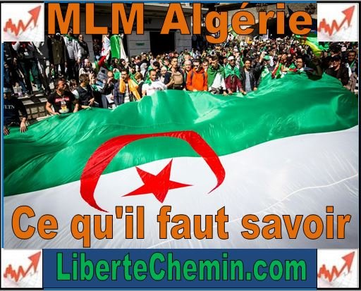 mlm algérie - afrique